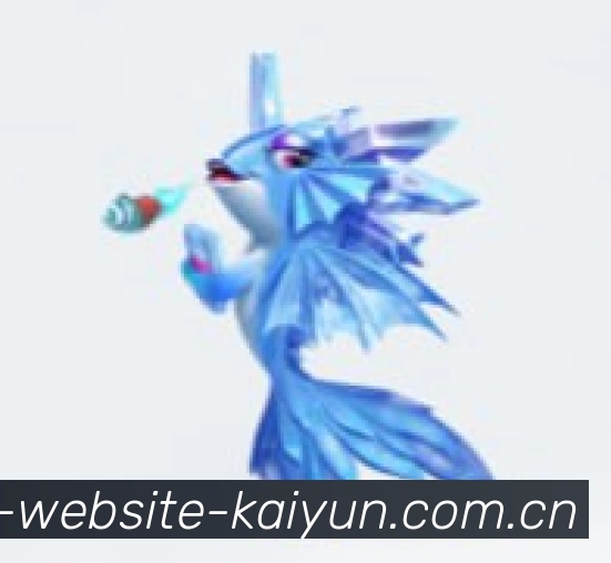 全场景服务